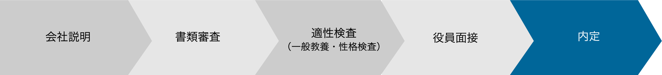 会社説明 書類審査 適性検査（一般教養・性格検査）役員面接 内定